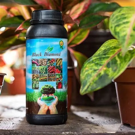 BLACK DIAMOND 250 ML