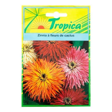 SEMILLA FLORES ZINNIA CACTUS 120S