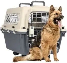 TRANSPORTADOR P/ MASCOTAS 88cm X 51 X 58