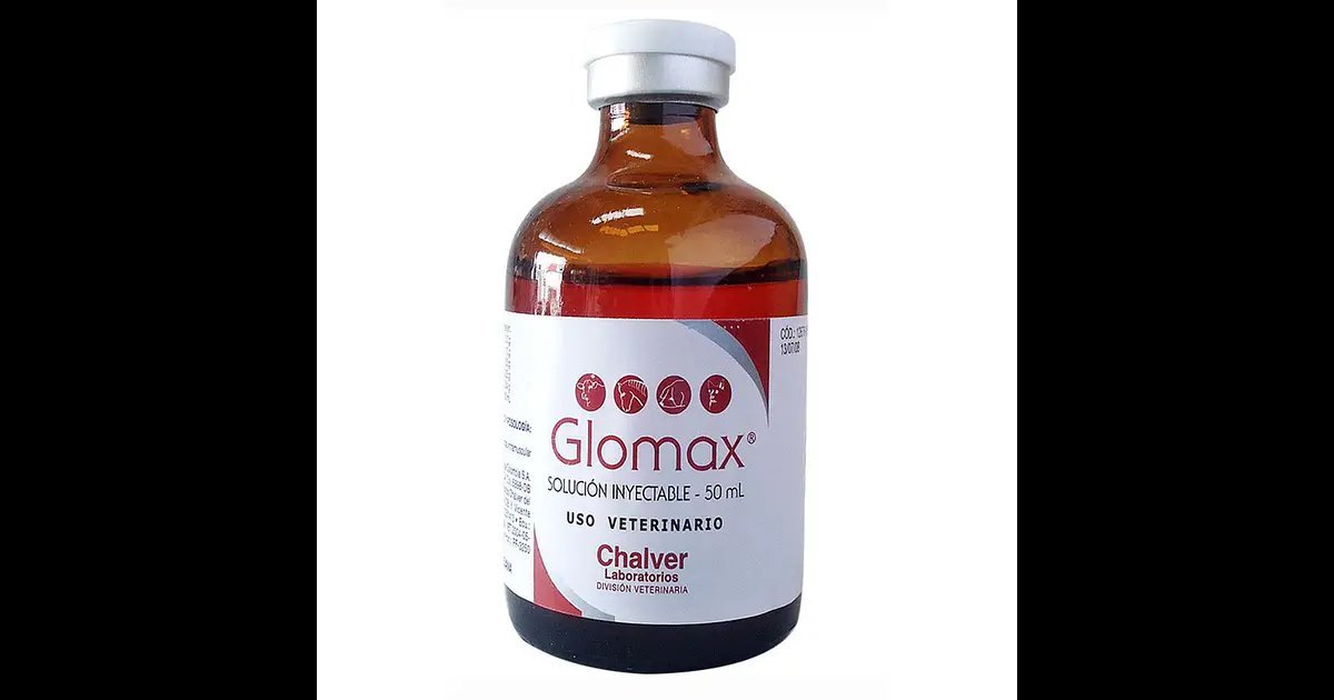 GLOMAX INY. Fco x 50ml metionina