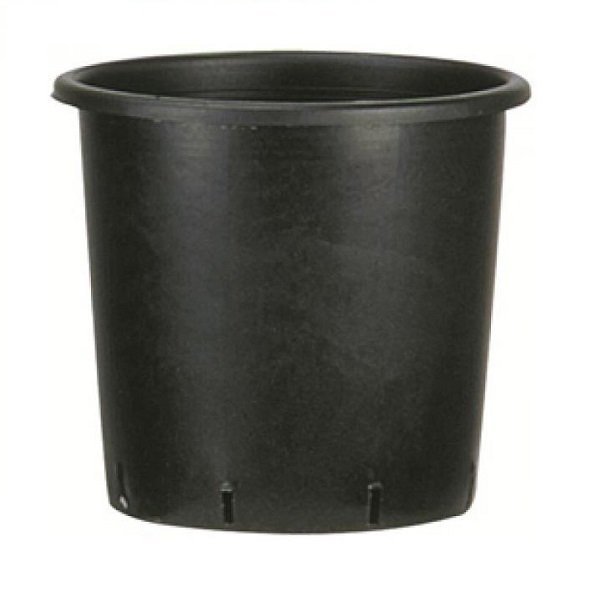 POTE NEGRO REDO 18*18