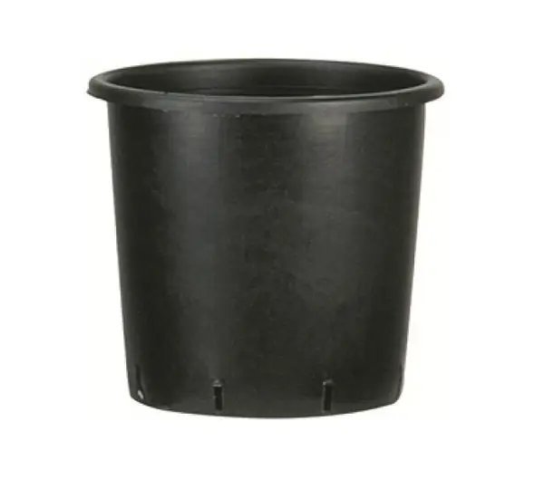 POTE NEGRO RED.26X26